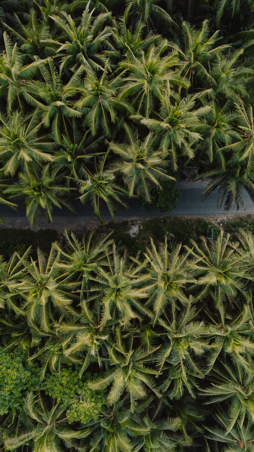 Bali Editorial — 11.jpg